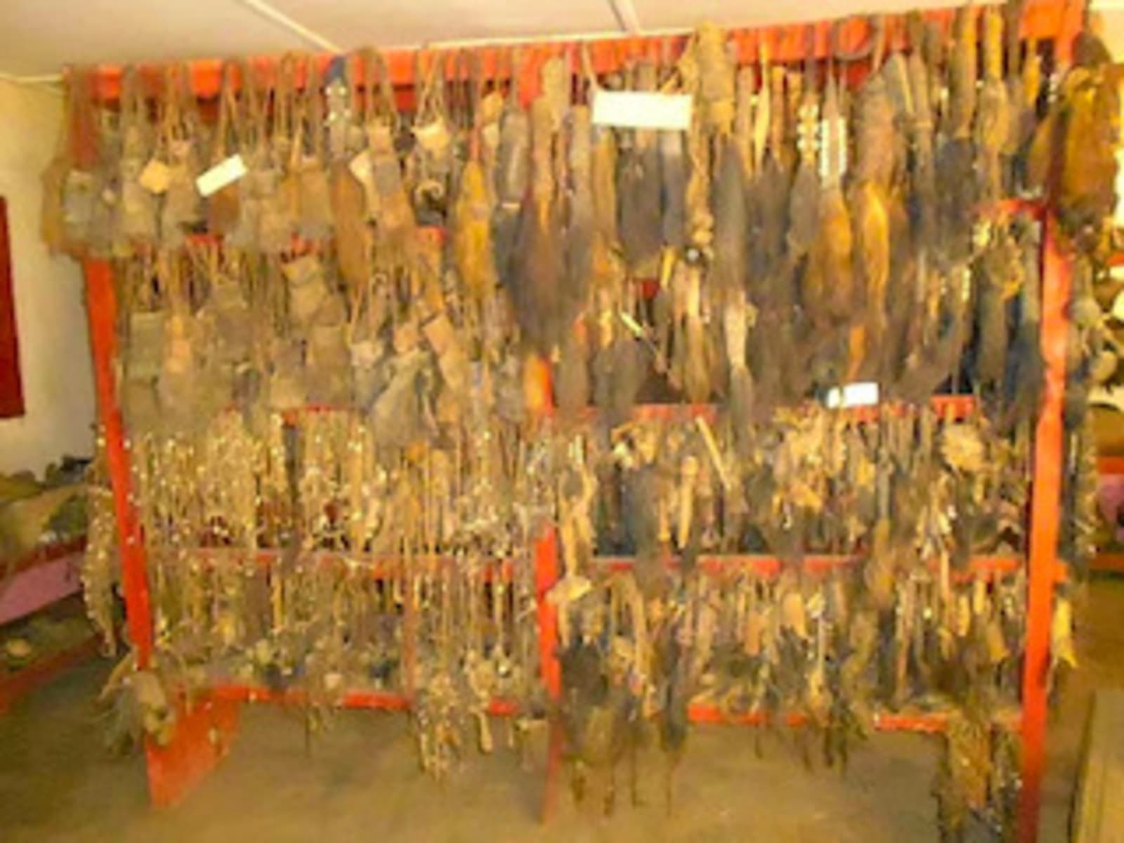 Mur de fétiches et de talismans suspendus dans une salle du musée.