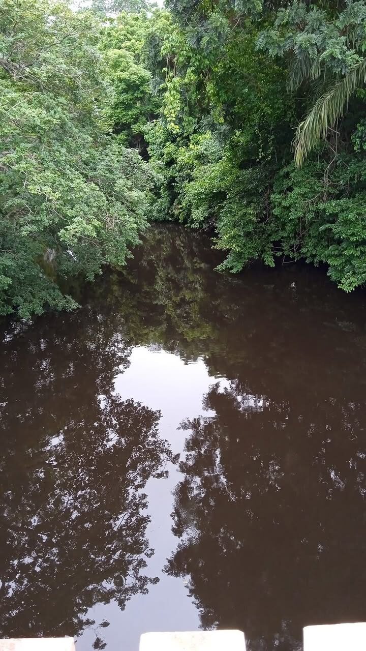 Berges verdoyantes et reflets sur la rivière Lobo.